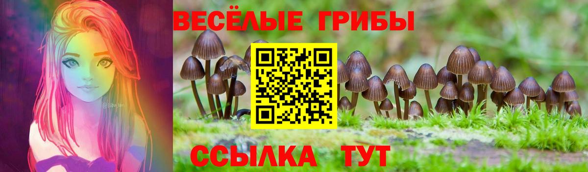Псилоцибиновые грибы прущие грибы Кореновск